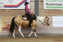 31-APHA OAWP_033